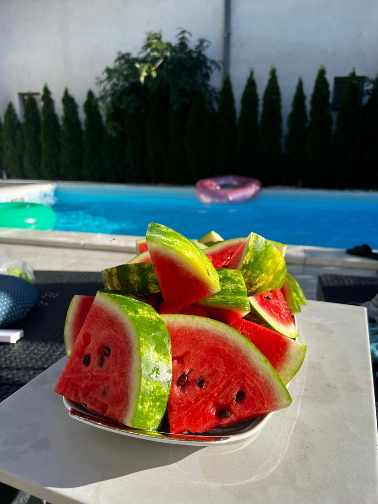 Villa Mina Kladovo, 5-Bedroom Villa With Pool For Up To 12 People Buitenkant foto